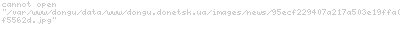 Ukrainians:    